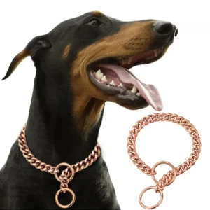 Large Dog Chain Collar and Leash