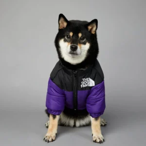 Dog Fans Down Jacket
