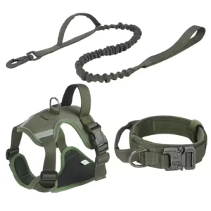 Dog harness with leash